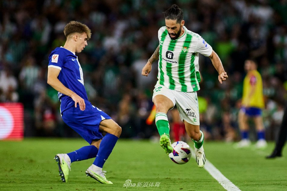 球迷的忠诚 球迷的忠诚