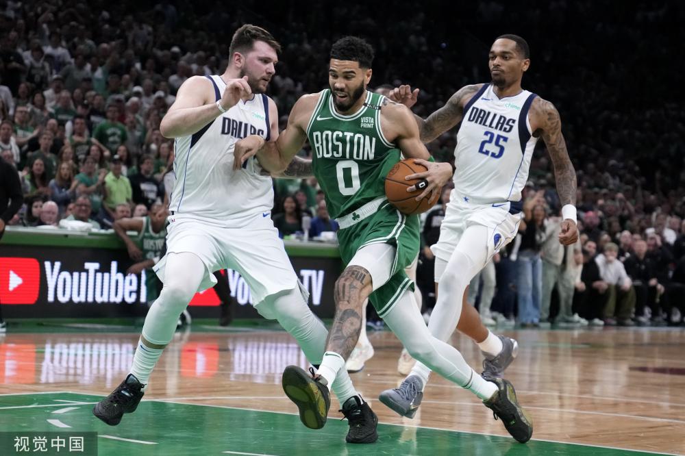 椰子采摘在 椰子采摘在