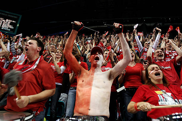 共享高水平 共享高水平