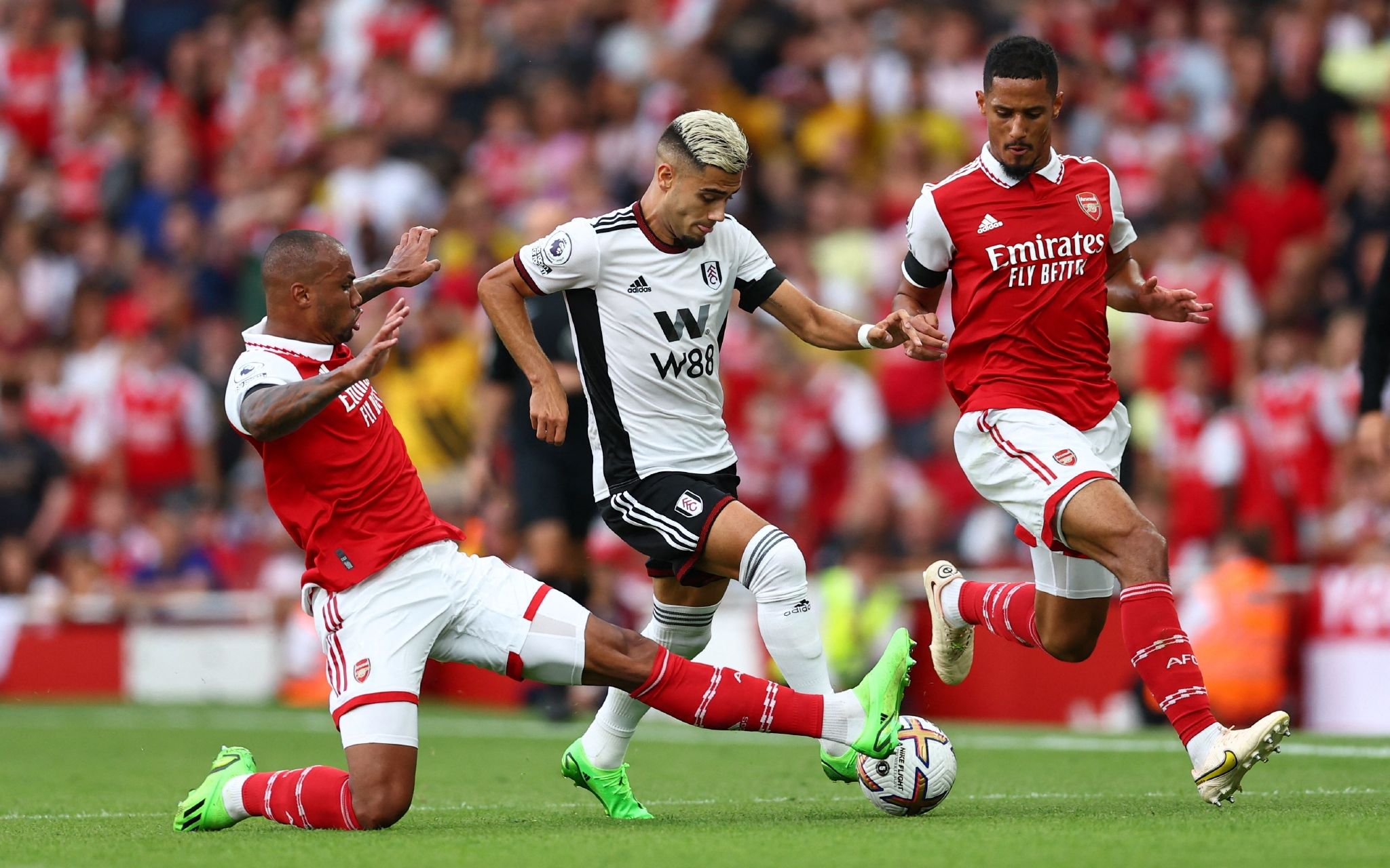 七大战充满 七大战充满